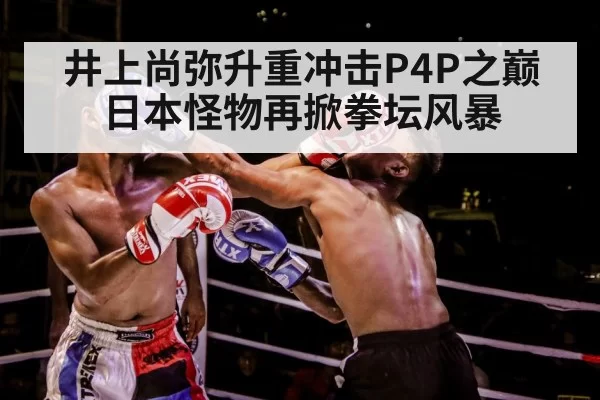 boxer training gloves