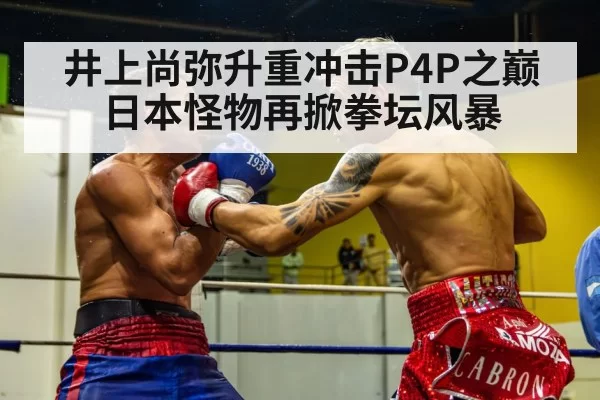boxing fight action