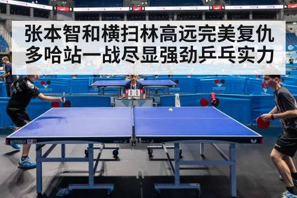 张本智和横扫林高远完美复仇 多哈站一战尽显强劲乒乓实力